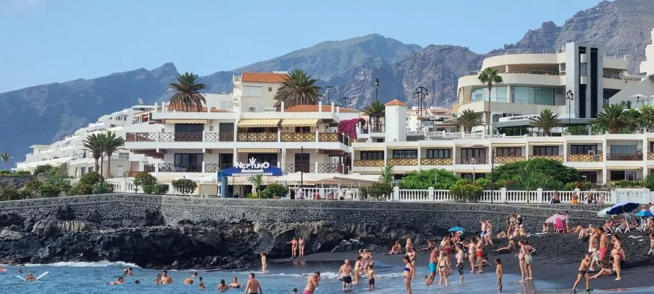 Neptuno Oasis Apartment Puerto de Santiago  Spain